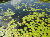 ���������̒n��