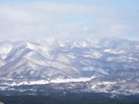 �O�����f�R�X�L�[�ꂪ������B