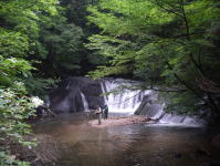 �i�`�������E�t�B�[���h���B