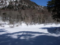 ��ɕ���ꂽ�΁B�ď�͓���Ȃ��̂ŁC�����Ȃ��΂��B