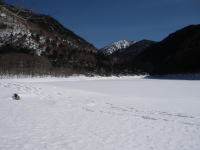 �����΁B�Â��ł���B