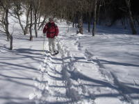 ���������������ؗ��̒������邭�̂͋C�����������B