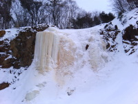 �C�G���[�t�H�[���ł���B