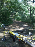 ���˃S���t��e