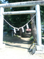 �R���̐_��