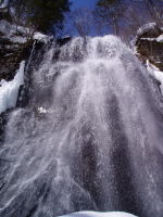 ��������猩�グ��B