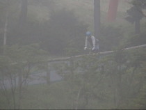 ���ڂ��̃_�E���q���B