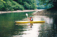 ���]�͓����Ƃ��Ă���B