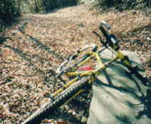 �����t�̃V���O�����[�h