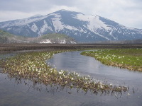 ��Ԃ̎����Ɛ��m�Ԃł���B