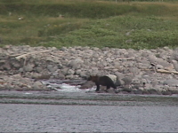 �J���t�g�}�X��_���q�O�}