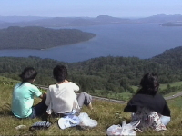 ���y��������ΘH�΂������낷�B