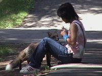 �L�^�L�c�l�Ƃ킪�Ƃ̂��ʂ������B