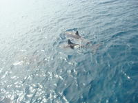 ���������p���B