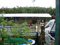 ���̑D�O�@�D�ōs���B