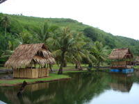 �`�������l�̏W���B