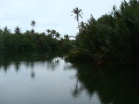 �W�����O���̐�B