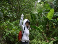 �W�����O���ł���B