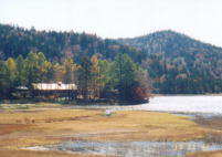 ���������Ɣ�����