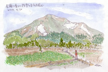 �c��̎����R���ƂĂ������̂ł��B