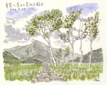 �����̖؂��f�G�Ȃ̂Ŏ�����`���Ă݂��̂ł��B