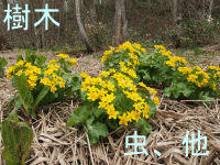 ���؁A���̑��̃^�C�g��