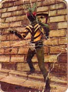 �c�E�J�}�L���j