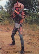 �Ή����l�G�W�v�^�X