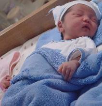 ���ς��ł������A�����܂�������Ăق���