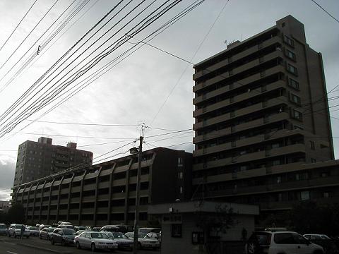 �l����񂿂�����͉̂��̓�