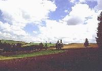 �k�C����m�S���x�ǖ쒬�@��