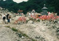 �X���ނs