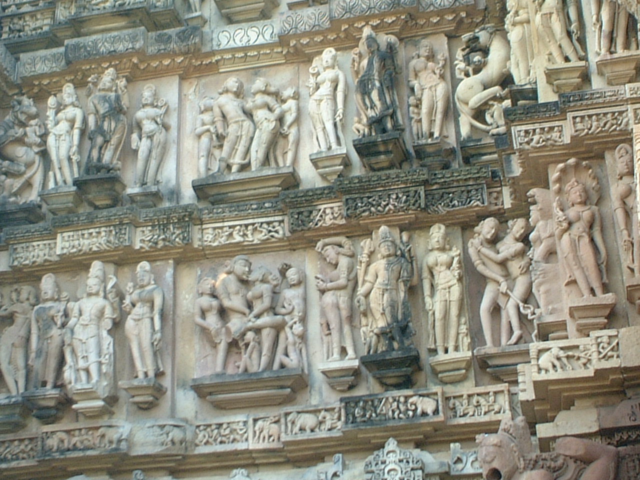 �~�g�D�i���S