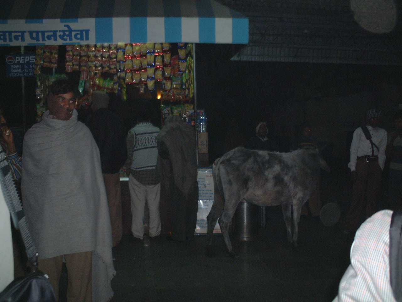 �W�����V�[�w