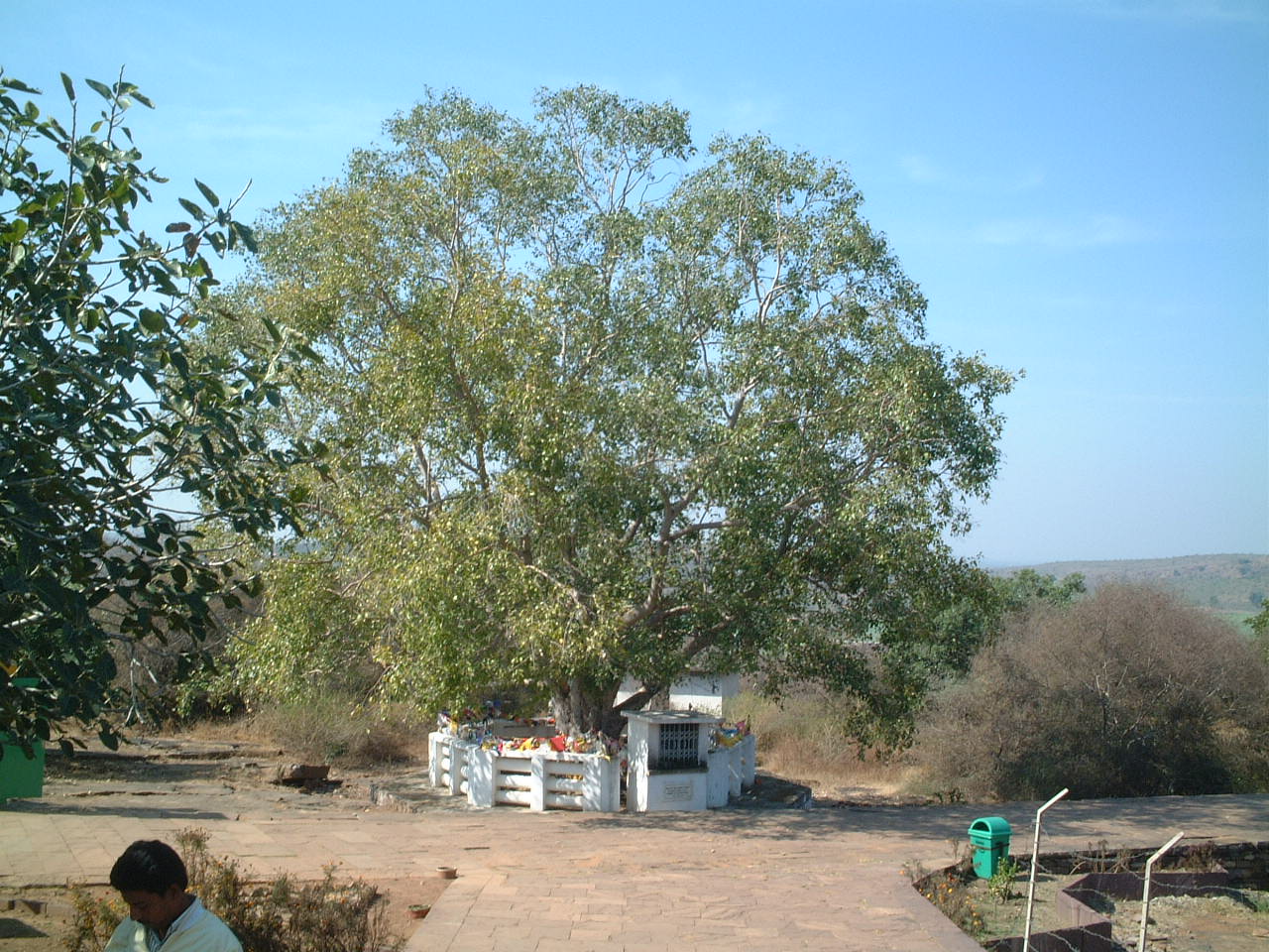 �T�[���`�[�̕���