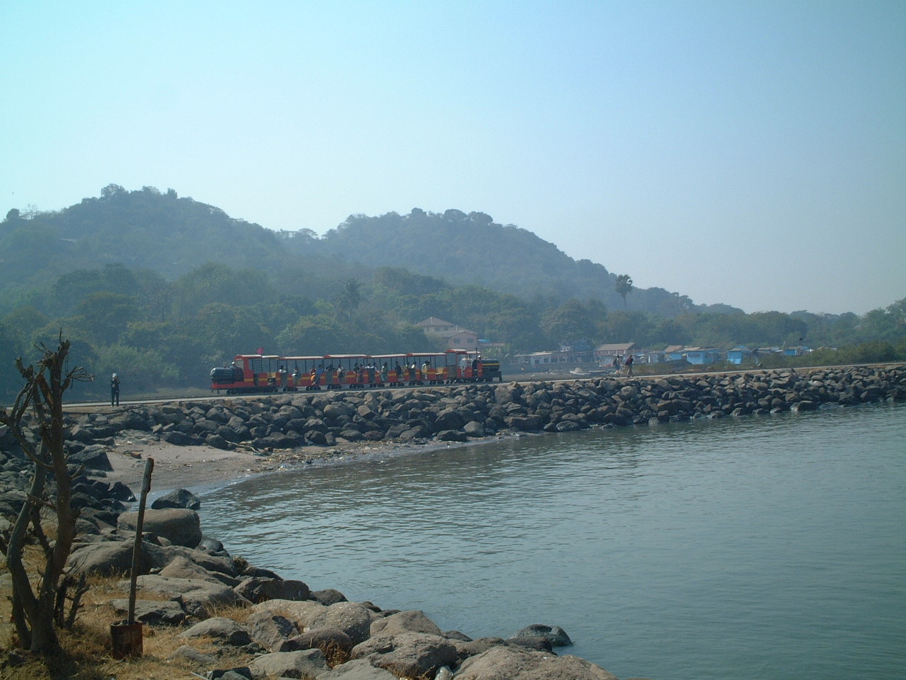 �~�j�g���C��