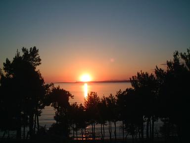 �_�[�_�l���X�C��