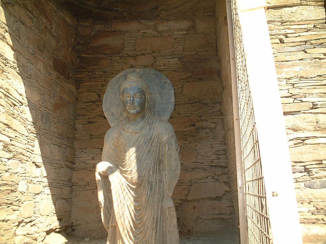 �K���_�[����