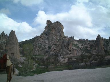 �E�`�q�T�[��