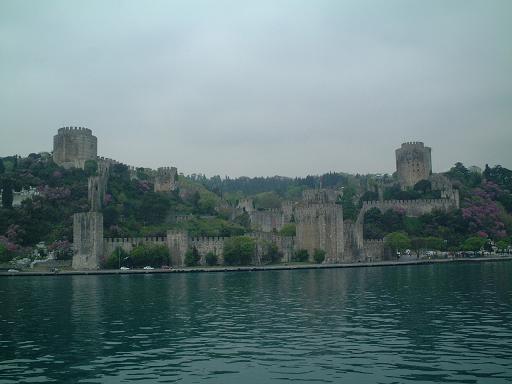 �������E�q�T��