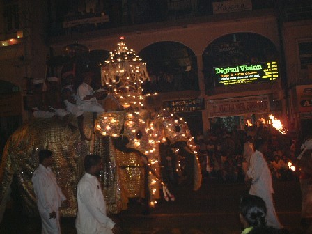 �y���w����