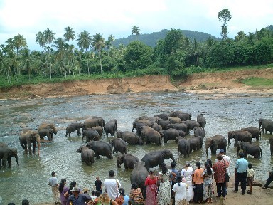 �ۂ̐�����