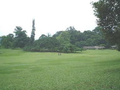 �y�[���f�j���A����