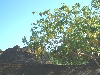 �G�w���ƈ��