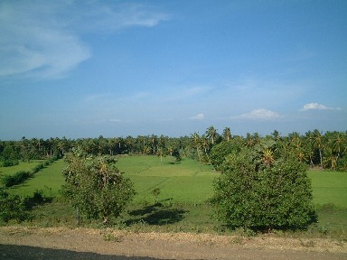 �c�����i