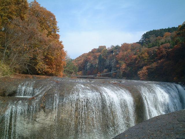 ��������̑�