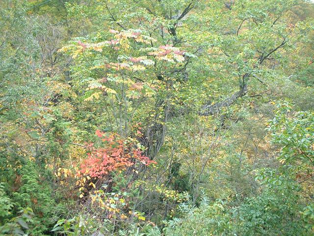 �g�t�͂���