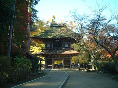 �L�����R��