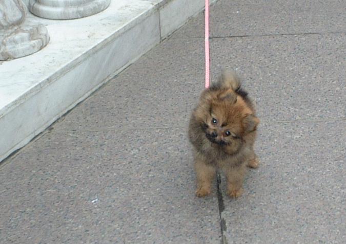 �����R�����