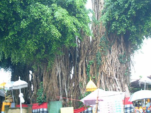 �K�W���}��